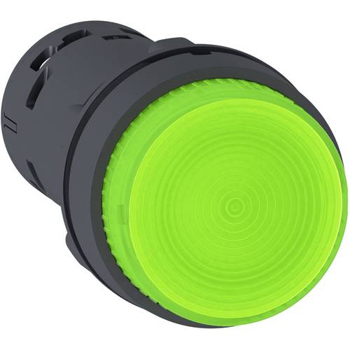 Schneider Electric XB7NJ0361 Leuchtdrucktaster 10 St.