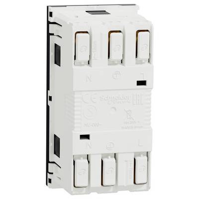 10 Stk. Schneider Electric Doppelsteckdose OL45-1