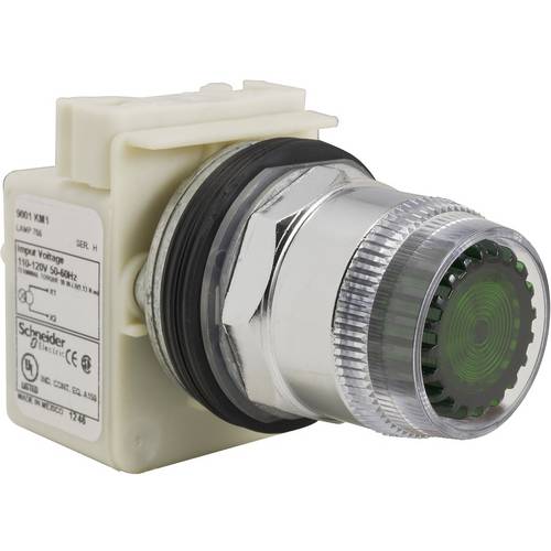 Schneider Electric 9001K1L1GH13 1 St.