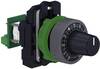 Schneider Electric XB5ADCUST02 XB5ADCUST02 Wahlschalter 1 St.