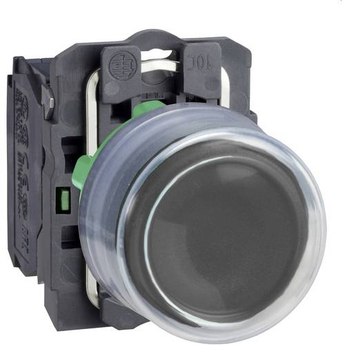 Schneider Electric XB5APCUST01 Drucktaster 1 St.