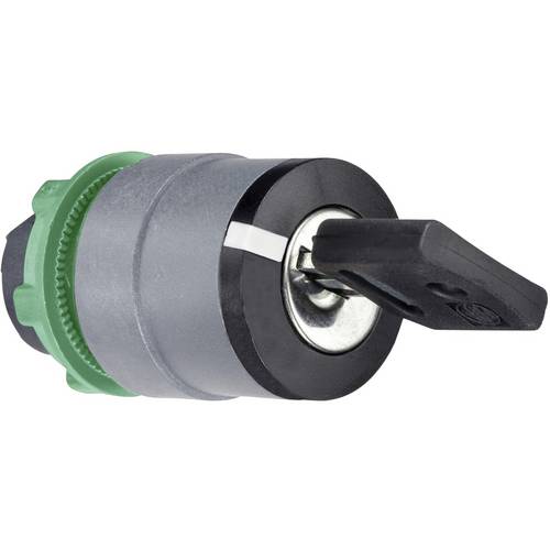 Schneider Electric ZB4BG05K ZB4BG05K Schlüsselschalter-Frontelement 1 St.