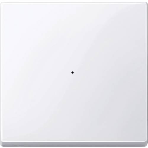 Schneider Electric MTN619125 SPS-Zubehör