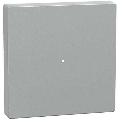 Schneider Electric MTN625160 SPS-Zubehör