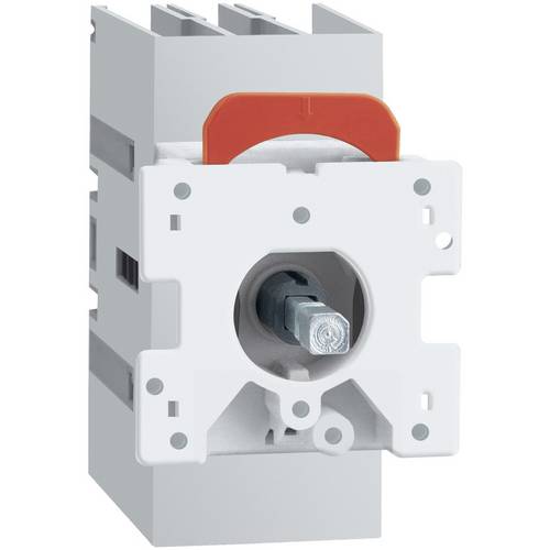 Schneider Electric VLS3P025D1 Lasttrennschalter 1 St.