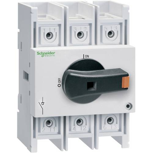 Schneider Electric VLS3P125R2 Lasttrennschalter 1 St.