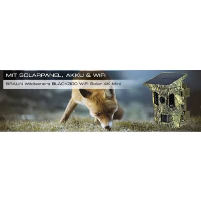 'Mit Solarpanel, Akku & WiFi' Werbung für die BRAUN Wildkamera BLACK300 WiFi Solar 4K Mini, zeigt einen Fuchs und die Kamera im Gras.