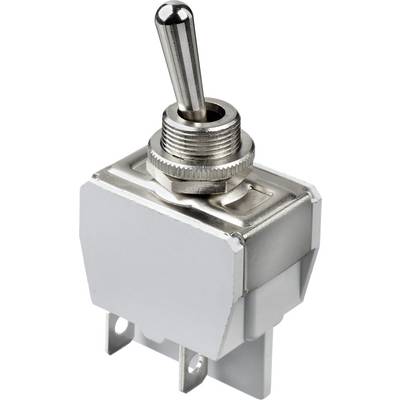 Metallschalter in Kippschalter-Ausführung, geeignet für elektrische Anwendungen, mit robustem Gehäuse und zwei Kontaktanschlüssen.