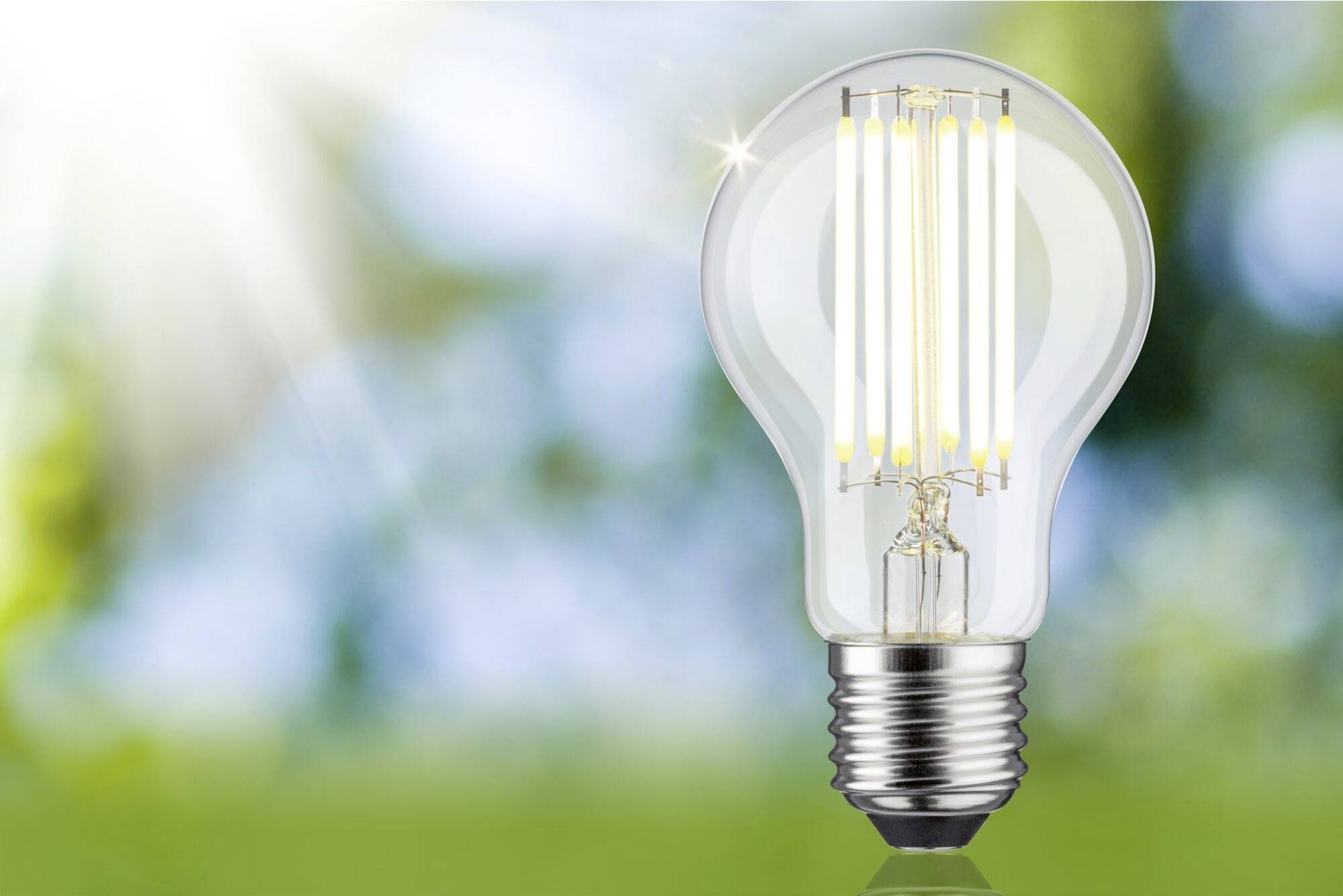 Eine Glühbirne leuchtet im Vordergrund vor einem verschwommenen, sonnigen Hintergrund. Symbolisiert kreative Ideen oder Innovation.