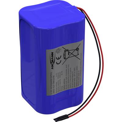 Ein blauer, blockförmiger Lithium-Ionen-Akku mit CE-Kennzeichnung und zwei Drähten, rot und schwarz, ragen aus der Oberseite heraus.