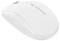 Kabellose weiße Computermaus mit minimalistischen Design, Markenname 'CHERRY' auf der Oberseite. Ideal für Büroanwendungen.