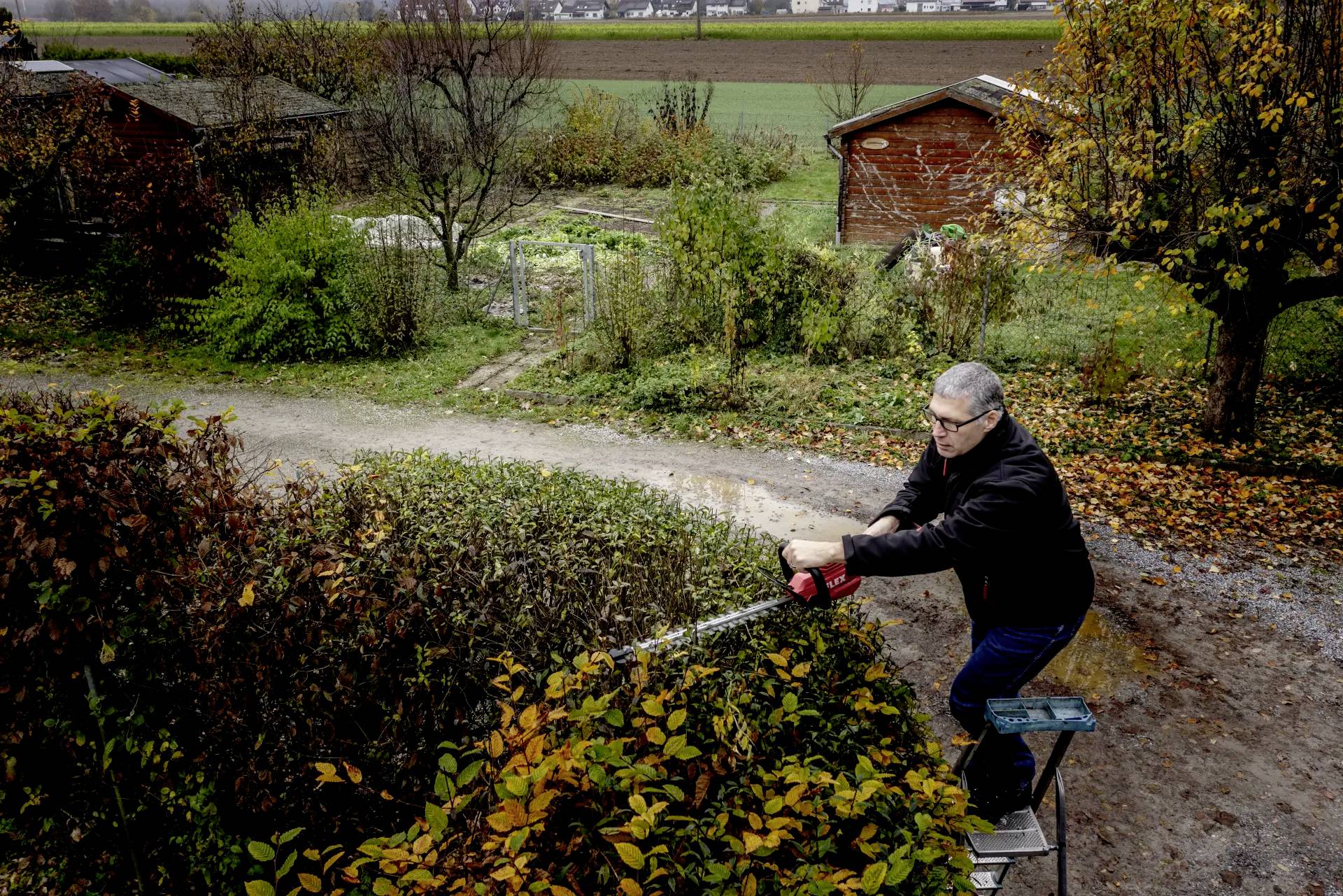 Eine Person schneidet mit einer elektrischen Heckenschere eine Hecke. Im Hintergrund sind Gärten, Bäume und Schuppen zu sehen.