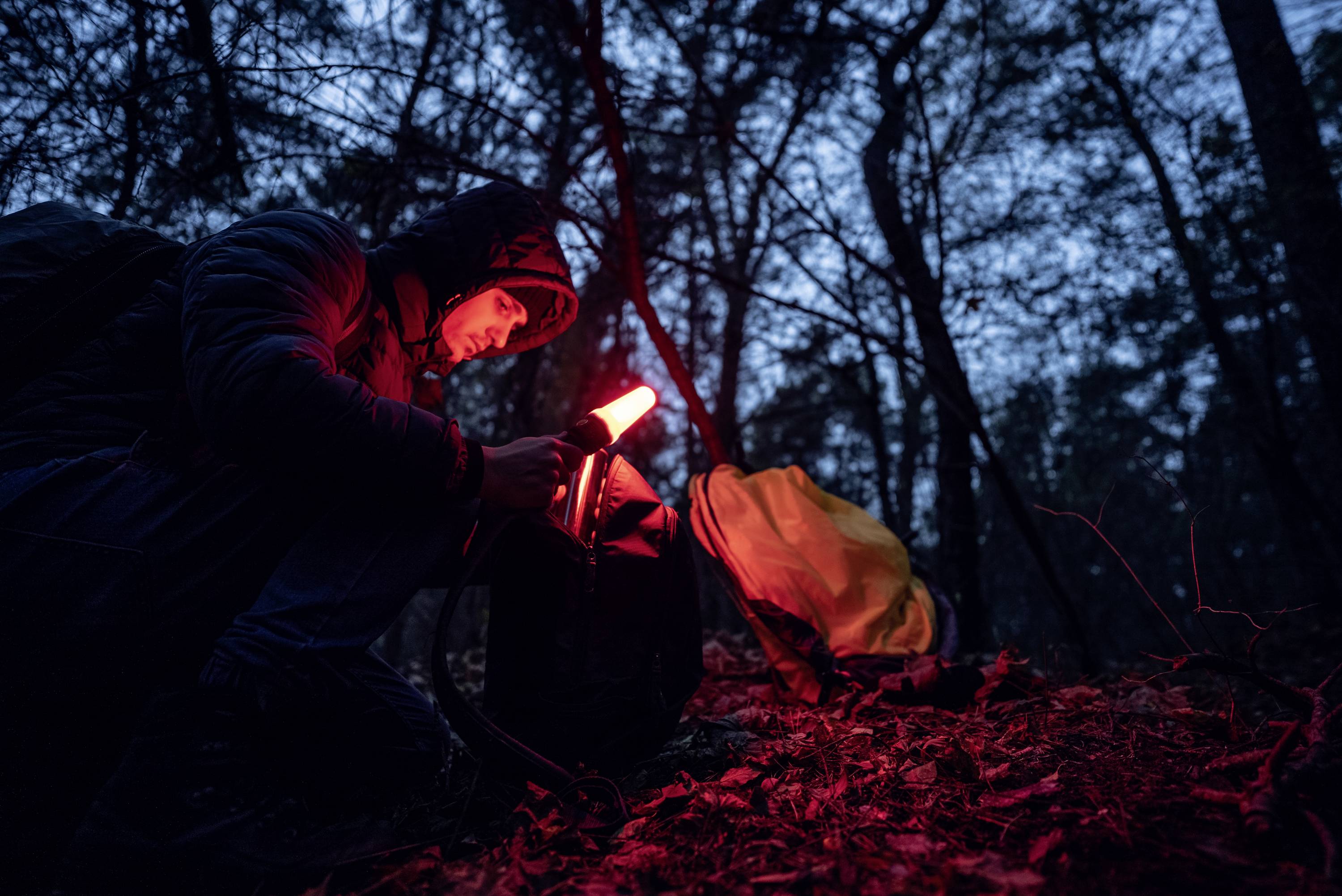Eine Person im Wald bei Dämmerung leuchtet mit einer roten Taschenlampe auf eine Karte. Im Hintergrund sind Bäume zu sehen.