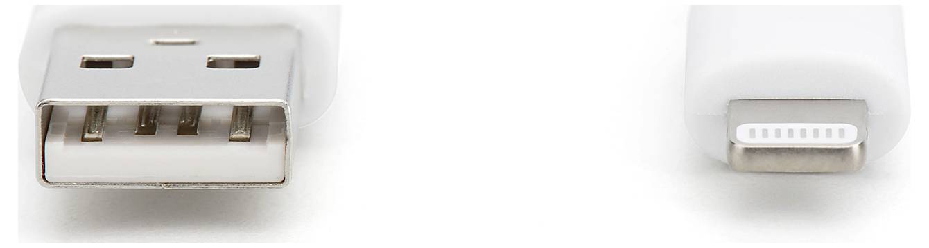 Ein USB-Anschluss links, zeigt die typischen Kontakte; rechts ein Lightning-Stecker mit schmaler Form, verwendet für iPhones.