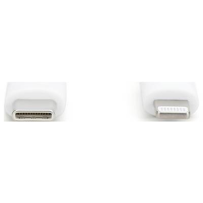 Zwei Nahaufnahmen von Steckverbindern: links ein USB-C-Stecker, rechts ein Lightning-Stecker, beide auf weißem Hintergrund.