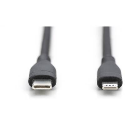 'Ein USB-C-Kabel und ein Lightning-Kabel nebeneinander, zeigen die Unterschiede in Steckerdesign und -form.'