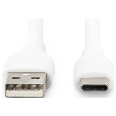 Ein weißes USB-Kabel mit USB-A-Stecker links und USB-C-Stecker rechts, seitlich abgebildet.