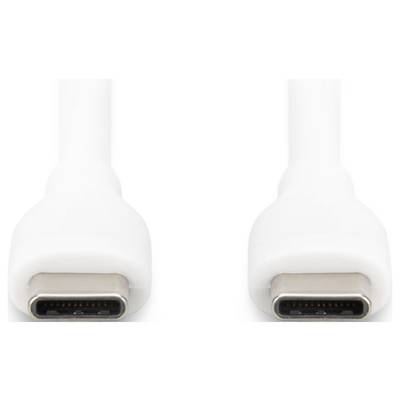 Zwei weiße USB-C-Stecker nebeneinander, beide mit metallischen Kontaktflächen sichtbar, symbolisieren Anschlussmöglichkeiten.