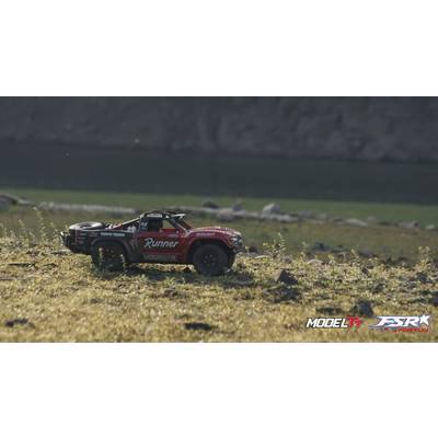 Ein rotes, ferngesteuertes Auto mit der Aufschrift 'Runner' fährt über eine wiesenähnliche Landschaft mit unscharfem Hintergrund.