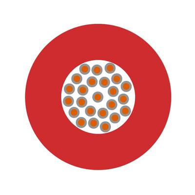 Ein roter Kreis mit einem weißen Inneren, darin befinden sich mehrere kleine orangefarbene Punkte, die gleichmäßig verteilt sind.