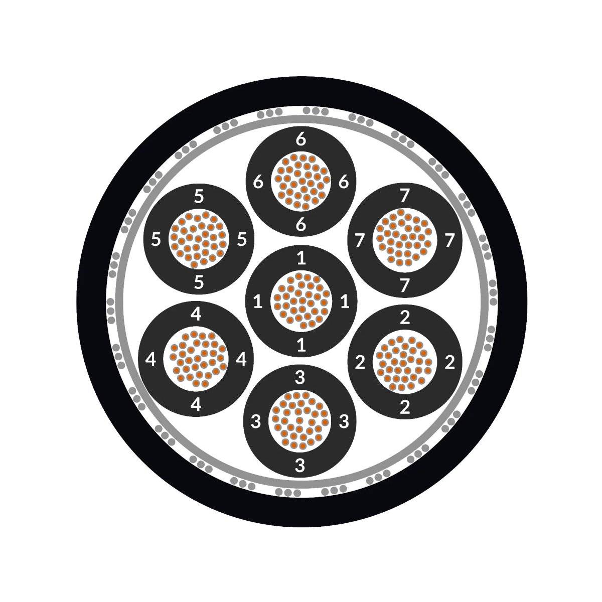 Ein Querschnitt eines Kabels mit sieben Bündeln, die jeweils nummerierte Drähte enthalten. Jeder Draht ist von isolierenden Ringen umgeben.