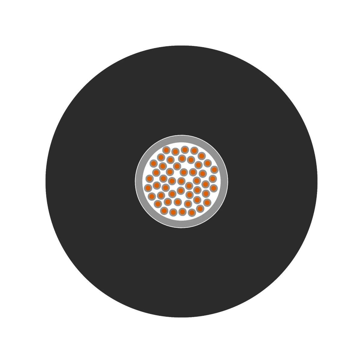 Schwarzer Kreis mit einem grauen Kreis in der Mitte, gefüllt mit mehreren kleinen, orangefarbenen Punkten.