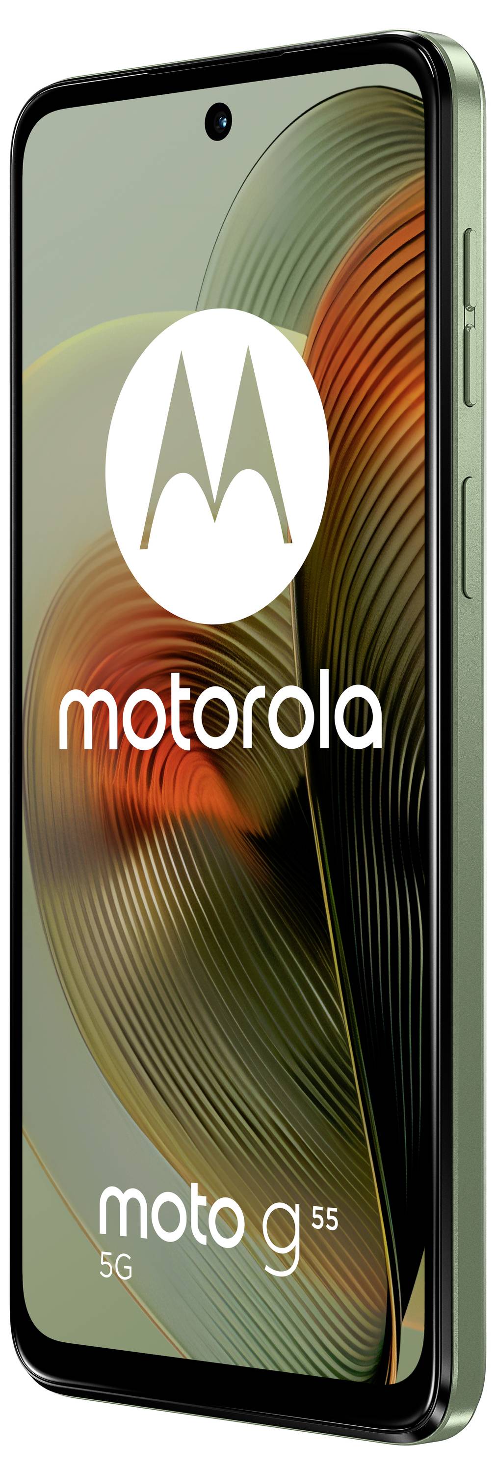 Smartphone Motorola Moto G55 in grün, Vorderseite mit Display und Kameraöffnung oben, seitlicher Power-Button sichtbar.