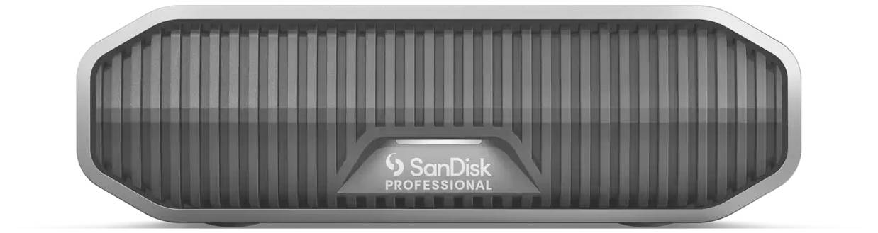 Ein tragbares, graues SanDisk Professional Solid State Drive mit geriffeltem Design und rechteckiger Form für Datenlagerung.