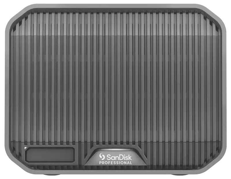 Ein schwarzes, rechteckiges Gerät mit dem Logo 'SanDisk Professional' unten. Das Gehäuse hat vertikale Rillen.