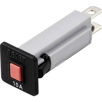 Ein grauer elektrischer Kurzschluss-Automat mit rotem 'RESET'-Knopf und Aufschrift '10A'.