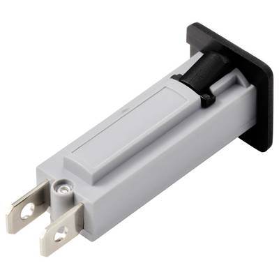 Ein grauer rechteckiger Taster mit zwei Metallkontakten und schwarzem Knopf, typischerweise für elektronische Anwendungen verwendet.