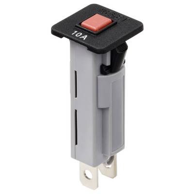'Schwarzer Sicherungsautomat mit rotem Knopf und der Aufschrift 10A. Wird zur Absicherung elektrischer Kreise verwendet.'
