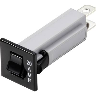 Ein schwarzer elektrischer Schalter mit der Aufschrift '20 AMP', montiert auf einem rechteckigen, grauen Gehäuse.