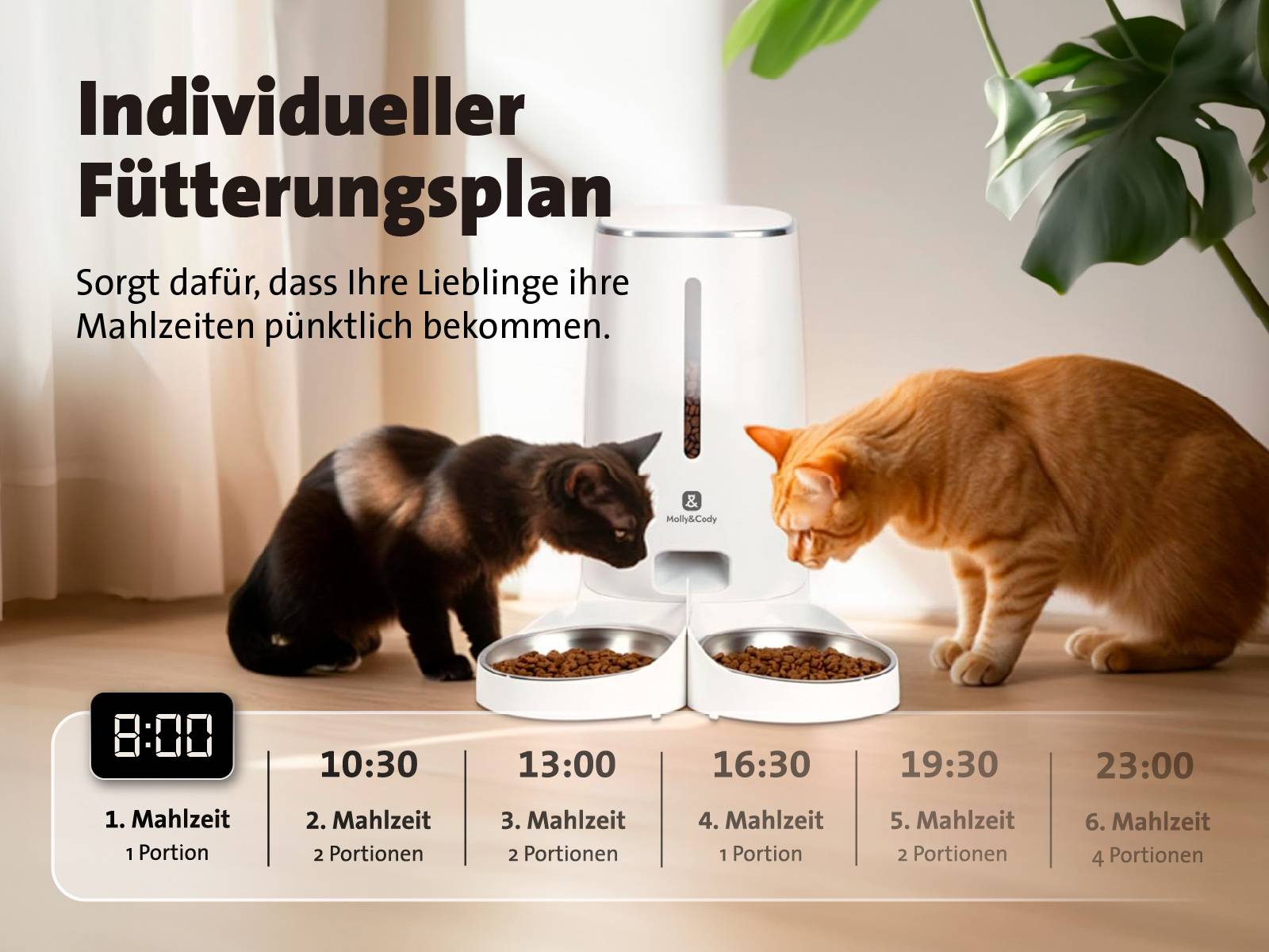 Zwei Katzen fressen aus einem automatischen Futterspender. Text auf dem Bild beschreibt einen individuellen Fütterungsplan mit Uhrzeiten.