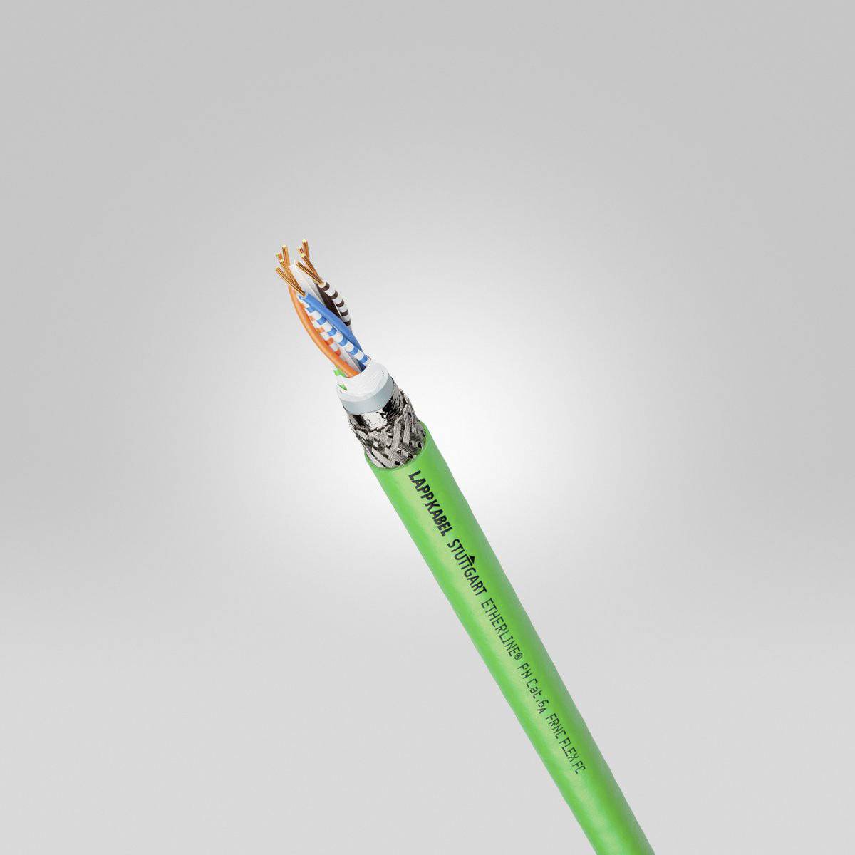 Nahaufnahme eines grünen Netzwerkkabels mit freiliegenden, teils verdrehten Adernenden. Das Kabel trägt die Aufschrift 'DigitalLife'.