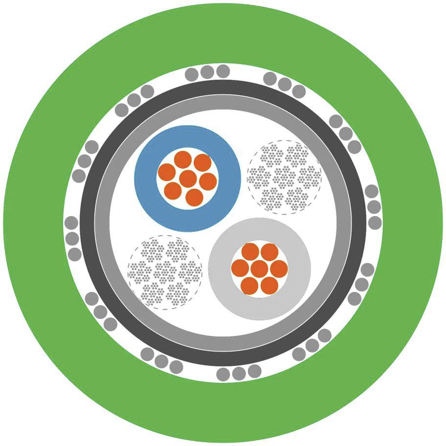 Querschnitt eines Kabels mit drei Adern: eine blaue, eine graue und eine gepunktete Ader, umgeben von einer grünen Isolierung.
