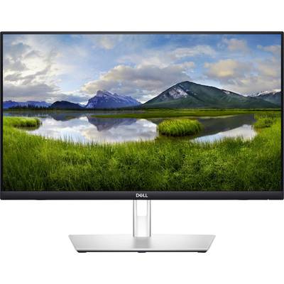 Ein Computerbildschirm zeigt eine Landschaft mit Bergen im Hintergrund, einem ruhigen See in der Mitte und grünen Wiesen im Vordergrund.