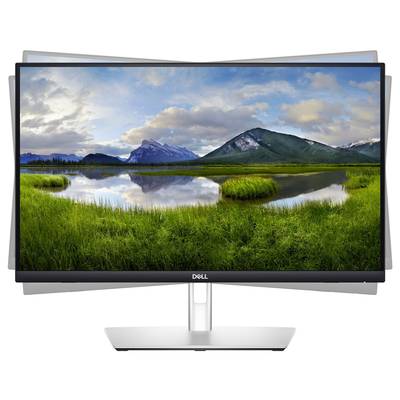 Ein gebogener Dell-Monitor zeigt eine Landschaft mit einem See, umgeben von grünen Wiesen und Bergen im Hintergrund.