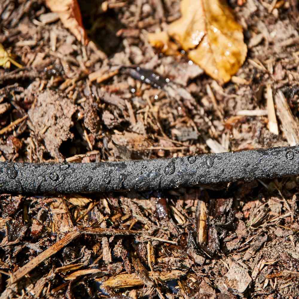 Ein schwarzer Ast liegt auf feuchtem Waldboden, bedeckt mit kleinen Wassertropfen. Im Hintergrund sind Blätter und Erde zu sehen.