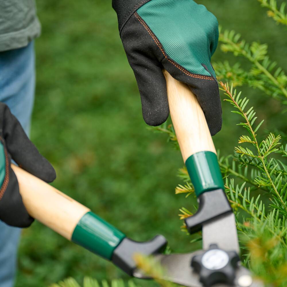 Eine Person in Handschuhen schneidet mit einer Gartenschere grüne Pflanzen. Im Hintergrund sind unscharfe Blätter zu sehen.