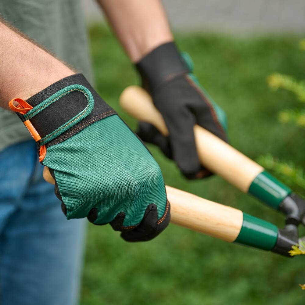 Person mit grünen Handschuhen schneidet mit einer Gartenschere Pflanzen. Outdoor-Arbeit im Garten mit Fokus auf Handwerkzeuge.