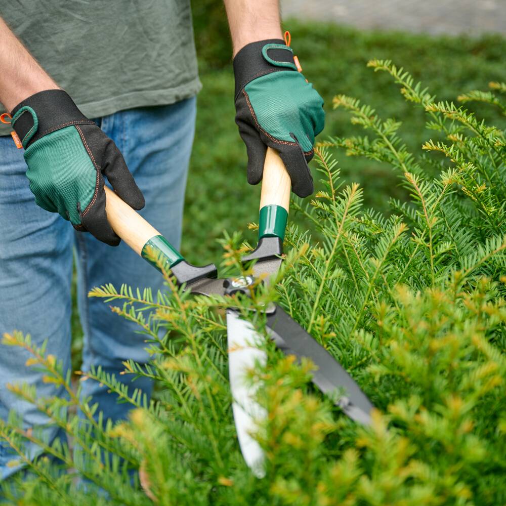 Eine Person schneidet mit einer Gartenschere grüne Sträucher. Sie trägt grüne Handschuhe und blaue Jeans.
