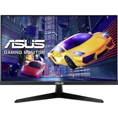 Asus Gaming Monitor zeigt ein futuristisches Stadtbild mit zwei Sportwagen, die durch die Luft rasen.