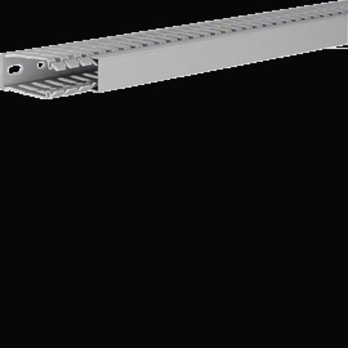 Hager BA760025 Verdrahtungskanal (L x B x H) 2000 x 25 x 60 mm 2 m Grau