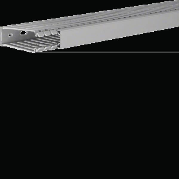Hager BA780025 Verdrahtungskanal (L x B x H) 2000 x 25 x 80 mm 2 m Grau