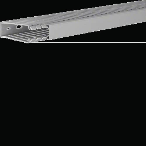 Hager BA780025 Verdrahtungskanal (L x B x H) 2000 x 25 x 80 mm 2 m Grau
