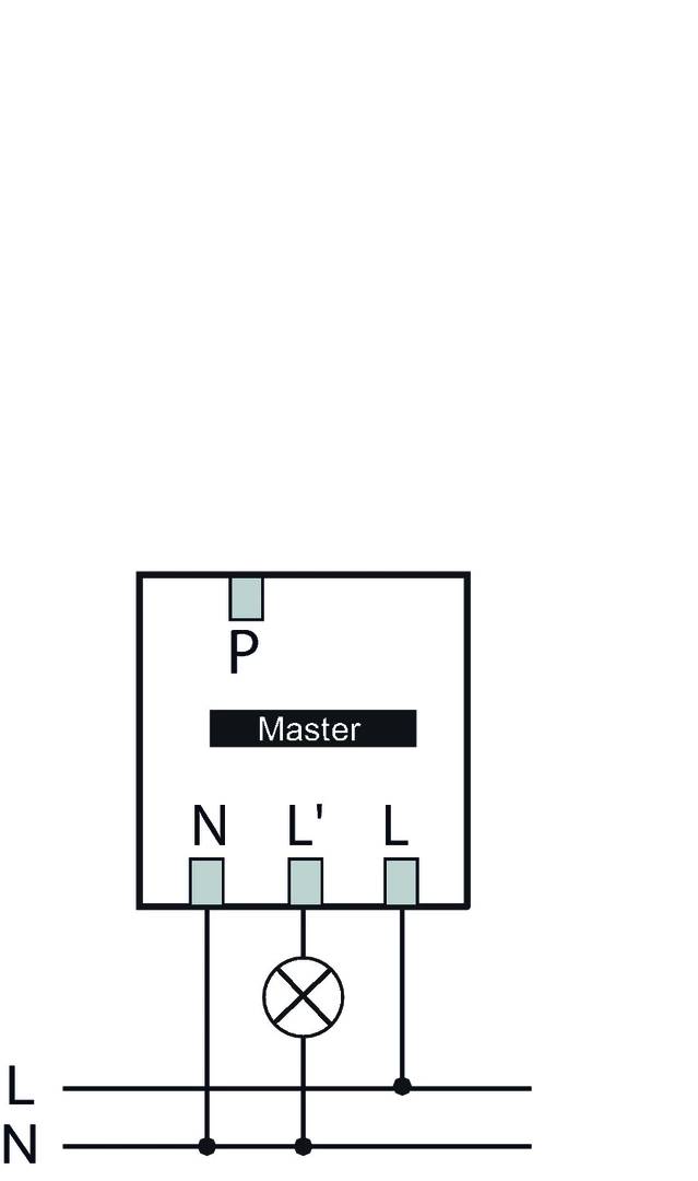 Schaltschema zeigt drei Anschlüsse: 'N', 'L', 'L'', mit Bezeichnungen 'P' und 'Master' darüber.