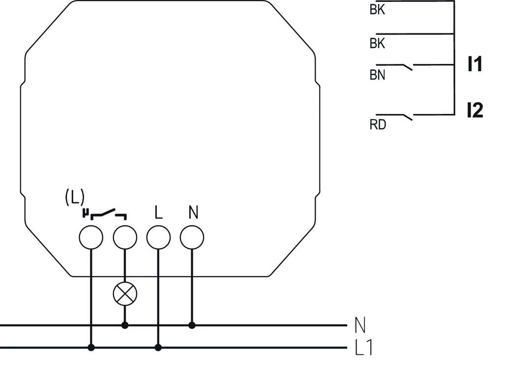 Schaltschema mit elektrischen Anschlüssen: Links eine Lampe; Anschlüsse L (Phase), N (Neutralleiter); Rechts: Kabelmarkierungen BK, BN, RD.