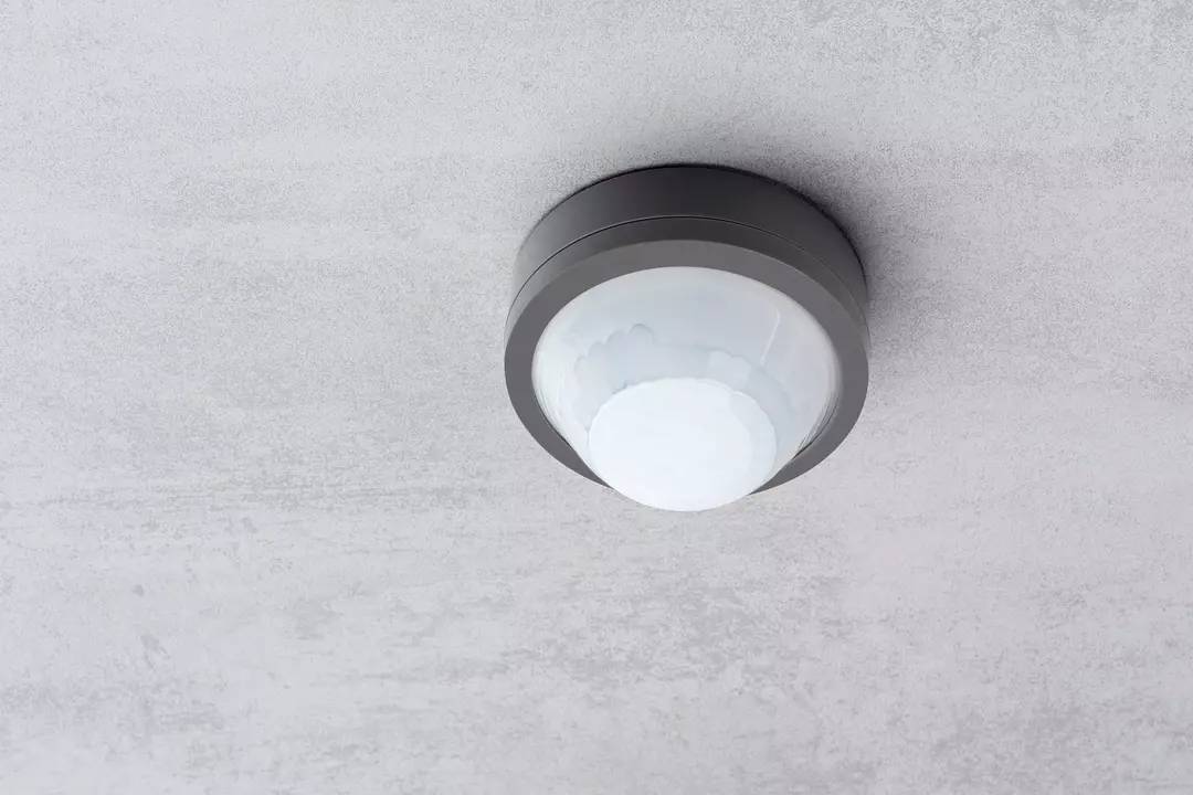 Ein runder, an der Decke montierter Bewegungsmelder mit weißem Sensor und grauem Gehäuse, der zur Erkennung von Bewegung dient.