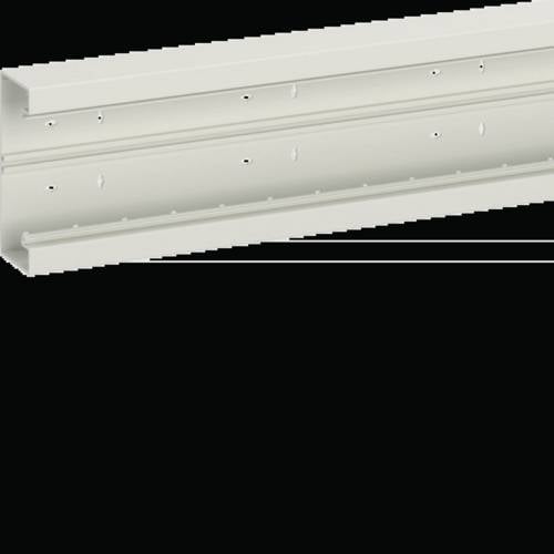 Hager BR651701B9016 Unterteil (L x B) 2000 mm x 170 mm 2 m